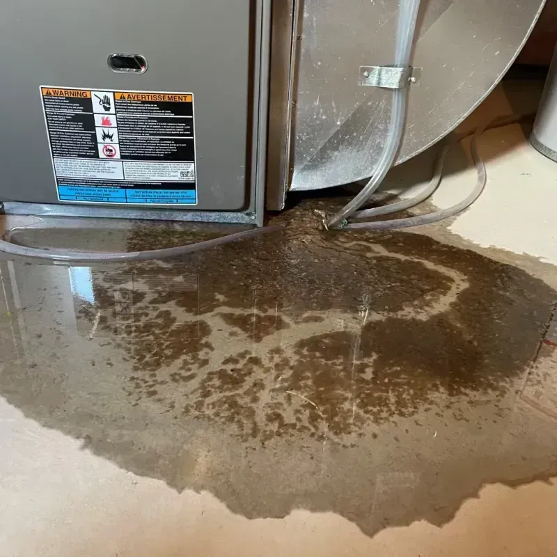 Appliance Leak Cleanup in Susquehanna, PA